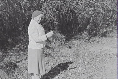 Negative - Lockwood - Hedge - Mrs Doney, Allan Doney, 1950 -1970