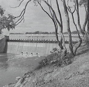 Negative - Laanecoorie - Reservoir, Allan Doney, 1950 -1970