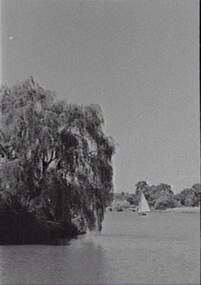 Negative - Lake Weeroona Bendigo - Sea Cadets, Allan Doney, 1950 -1970