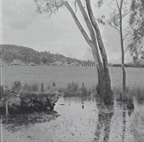 Negative - Harcourt - Farm - House - Dam, Allan Doney, 1950 -1970