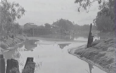 Negative - Echuca - River - Wharf - Low Level - Paddle Steamers, Allan Doney, 1950 -1970