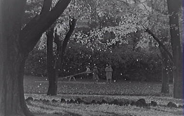 Negative - Rosalind Park Bendigo - Playground Equipment, Allan Doney, 1950 -1970