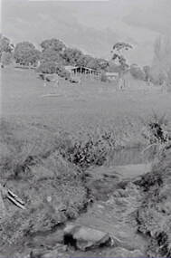 Negative - Farm - Creek - Hay Shed - Cows, Allan Doney, 1950 -1970