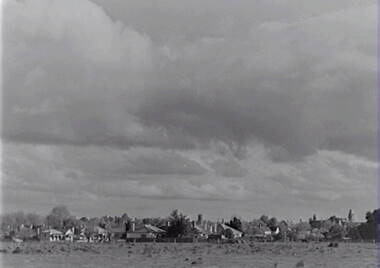 Negative - Paddock - Houses, Allan Doney, 1950 -1970