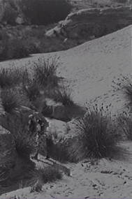 Negative - Sand Dunes - Boys, Allan Doney, 1950 -1970
