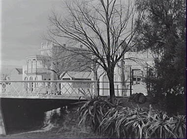Negative - Bendigo Creek - Farmers Lane Bendigo - Lamsey Herbalist, Allan Doney, 1950 -1970