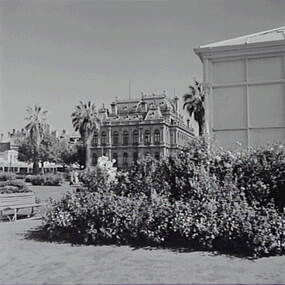 Negative - Conservatory Gardens Bendigo - Law Courts Bendigo, Allan Doney, 1950 -1970