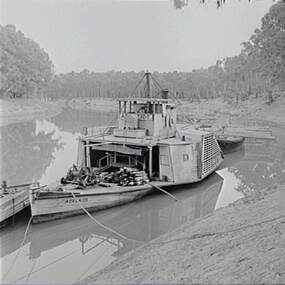 Negative - Echuca - Paddle Streamer - Adelaide, Allan Doney, 1950 -1970