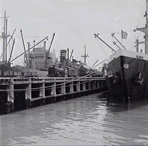 Negative - Geelong - Wharf - Ships, Allan Doney, 1950 -1970