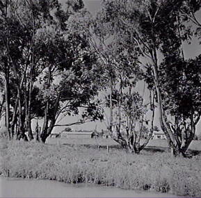 Negative - Lockington - Channel - Houses, Allan Doney, 1950 -1970