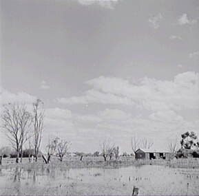 Negative - Lockington - Farm - Shed - Flooding, Allan Doney, 1950 -1970