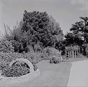 Negative - White Hills Botanical Gardens - Floral Basket, Allan Doney, 1950 -1970