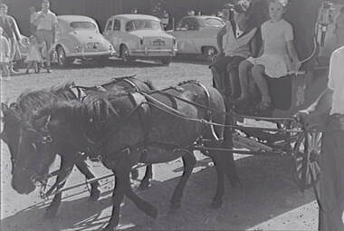 Negative - Pony and Cart - Children - Cobb and Co, Allan Doney, 1950 -1970