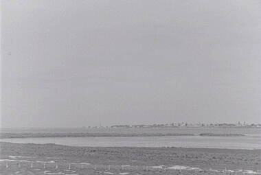 Negative - Beach - Tidal Pools, Allan Doney, 1950 -1970