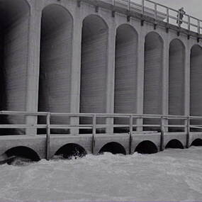 Negative - Waranga Basin - Reservoir, Allan Doney, 1950 -1970