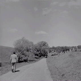 Negative - Yandoit - Country Road - Man - Trees, Allan Doney, 1950 -1970