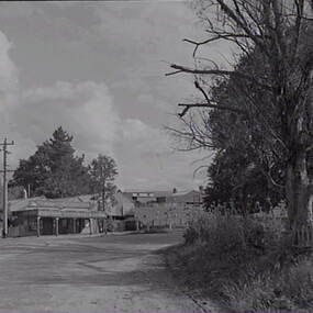 Negative - Yapeen - Street - Businesses, Allan Doney, 1950 -1970
