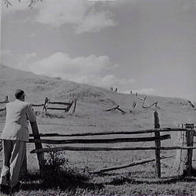 Negative - Yandoit - Farm - Rail Fencing - Man, Allan Doney, 1950 -1970