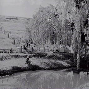 Negative - Yandoit - River - Mrs Doney, Allan Doney, 1950 -1970