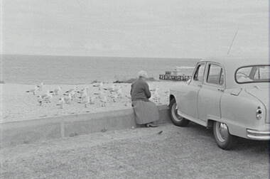 Negative - Point Lonsdale - Beach - Car park - Mrs Doney - Seagulls, Allan Doney, 1950 -1970