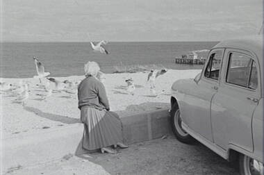Negative - Point Lonsdale - Beach - Car park - Mrs Doney - Seagulls, Allan Doney, 1950 -1970