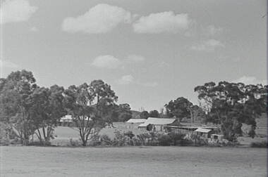 Negative - Farm - House - Sheds - Hills - Trees, Allan Doney, 1950 -1970
