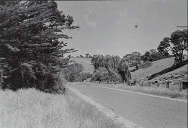 Negative - Rural Scene - Trees - Road - Rocky Hills - House, Allan Doney, 1950 -1970
