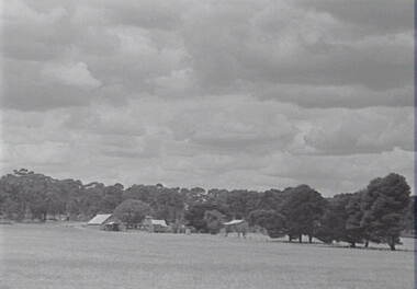 Negative - Farm - House - Trees, Allan Doney, 1950 -1970