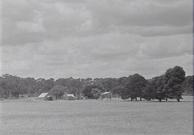 Negative - Farm - House - Trees, Allan Doney, 1950 -1970