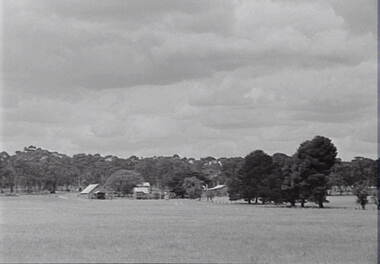 Negative - Farm - House - Trees, Allan Doney, 1950 -1970