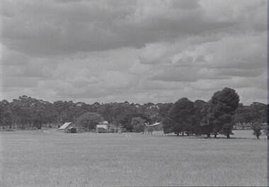 Negative - Farm - House - Trees, Allan Doney, 1950 -1970