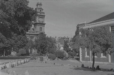 Negative - Town Hall Gardens - State Public Offices, Allan Doney, 1950 -1970