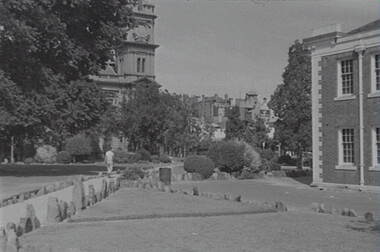 Negative - Town Hall Gardens - State Public Offices, Allan Doney, 1950 -1970
