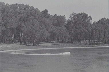 Negative - River - Water skiing, Allan Doney, 1950 -1970