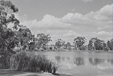 Negative - Lake Neangar Eaglehawk, Allan Doney, 1950 -1970