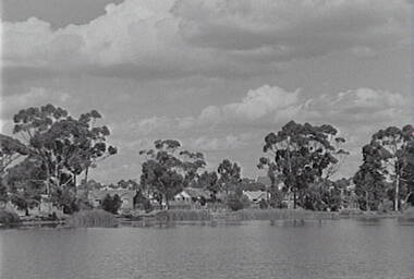 Negative - Lake Neangar Eaglehawk, Allan Doney, 1950 -1970