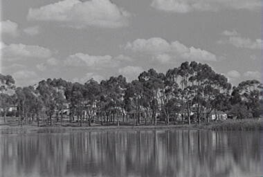 Negative - Lake Neangar Eaglehawk, Allan Doney, 1950 -1970