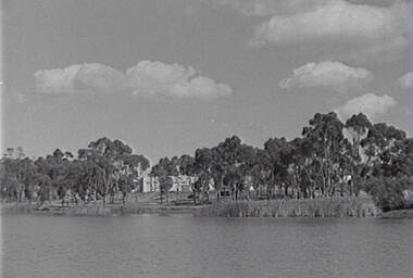 Negative - Lake Neangar Eaglehawk, Allan Doney, 1950 -1970