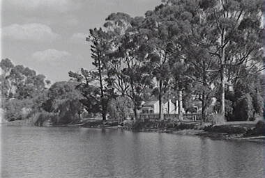 Negative - Lake Neangar Eaglehawk, Allan Doney, 1950 -1970
