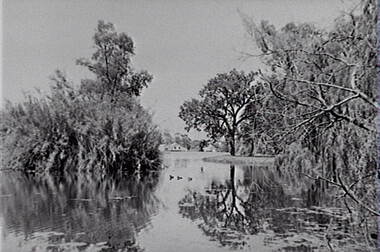 Negative - Lake Rowena Bendigo - Boat Shed, Allan Doney, 1950 -1970