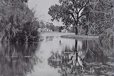 Negative - Lake Rowena Bendigo - Boat Shed, Allan Doney, 1950 -1970