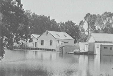 Negative - Lake Rowena Bendigo - Boat Shed, Allan Doney, 1950 -1970