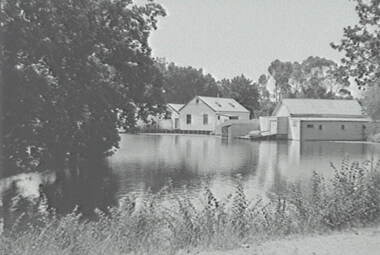 Negative - Lake Rowena Bendigo - Boat Shed, Allan Doney, 1950 -1970