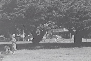 Negative - Apollo Bay - Park - Blue Bird Cafe - Mrs Doney, Allan Doney, 1950 -1970