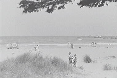 Negative - Apollo Bay - Beach - Trees, Allan Doney, 1950 -1970