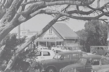 Negative - Street Bendigo - Businesses - Trees, Allan Doney, 1950 -1970