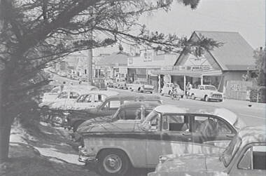 Negative - Street Bendigo - Businesses - Trees, Allan Doney, 1950 -1970