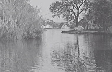 Negative - Lake Rowena Bendigo - Boat Sheds - Doney's Car, Allan Doney, 1950 -1970