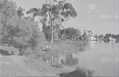 Negative - Lake Rowena Bendigo - Boat Sheds, Allan Doney, 1950 -1970