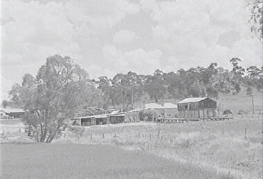 Negative - Farm - House - Buildings - Trees, Allan Doney, 1950 -1970